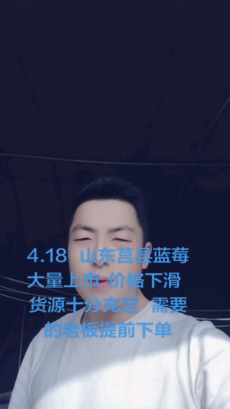 蓝莓山东花香L25纯甜蓝莓暖棚f6优惠卡L11