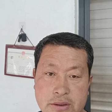 吉冠西瓜