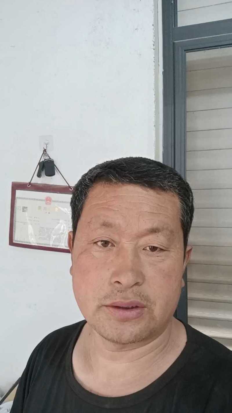 吉冠西瓜