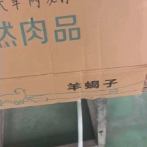 草地满肉羊蝎子：内蒙草原绵羊多肉的脊骨！新鲜速冻装箱，