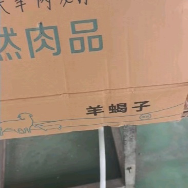 草地满肉羊蝎子：内蒙草原绵羊多肉的脊骨！新鲜速冻装箱，