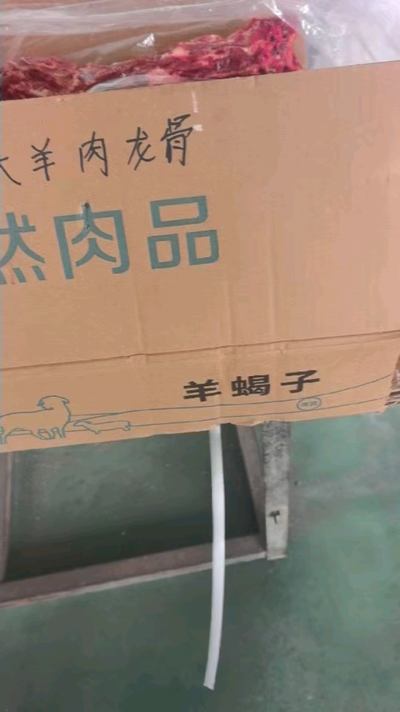 草地满肉羊蝎子：内蒙草原绵羊多肉的脊骨！新鲜速冻装箱，