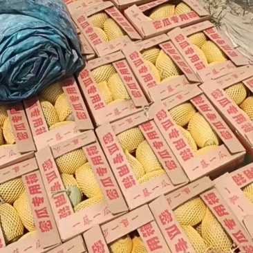 13米挂车发往上海,马上装完!