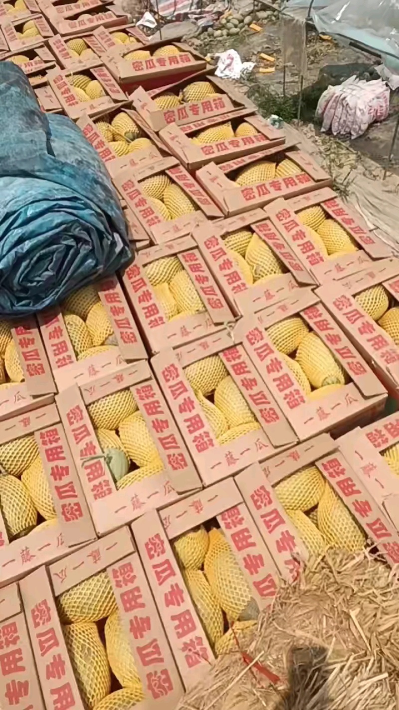 13米挂车发往上海，马上装完！