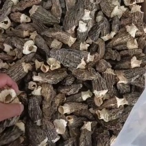 【只做精品货】羊肚菌干货头茬7至10cm原产地直发羊肚菌