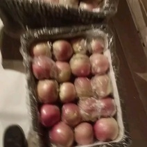 冷库，冰糖心富士苹果