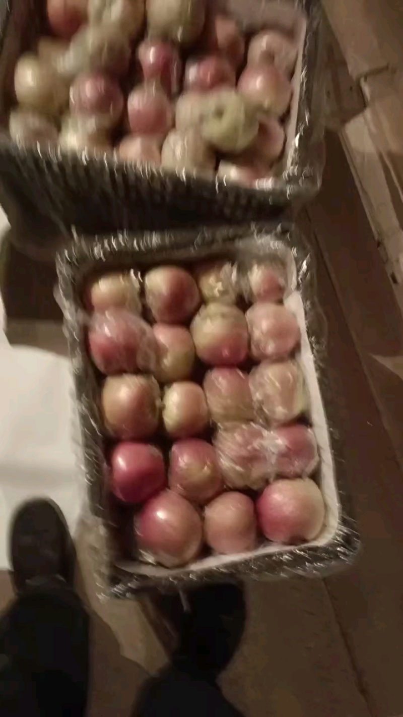 冷库，冰糖心富士苹果