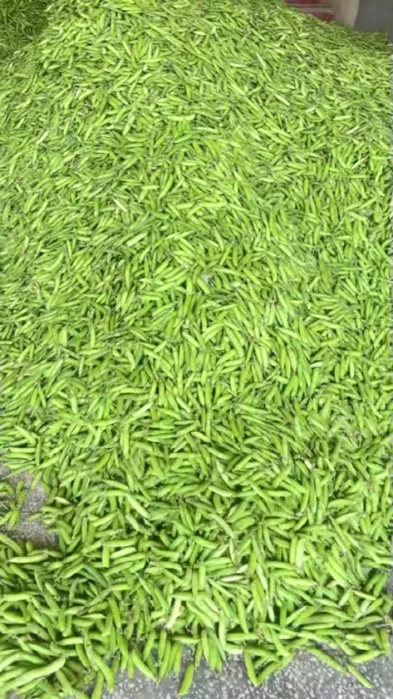 青豌豆