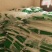 土豆粉条品质保证服务周到产地直发价格美丽