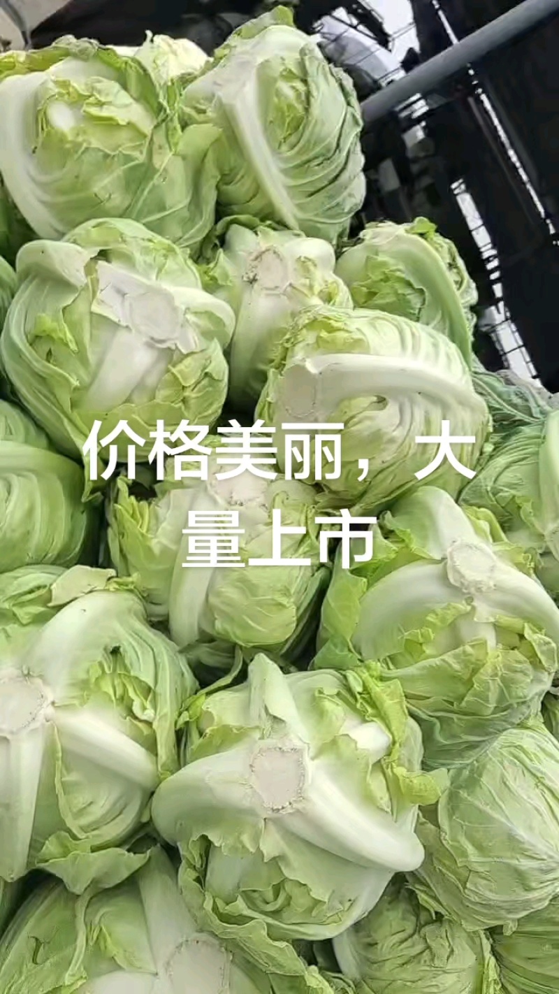 剥得干净，抱得紧，品质实在不错！