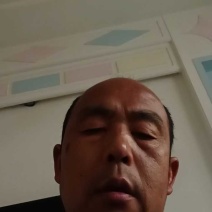 湘西野生百花蜂蜜
