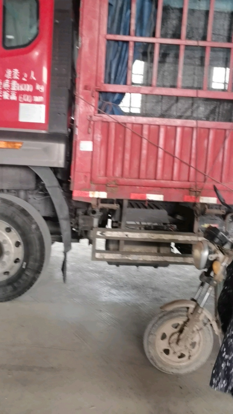 包菜装车，6米8发车中。