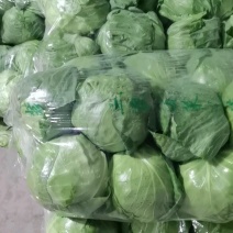 包菜装车，6米8发车中。