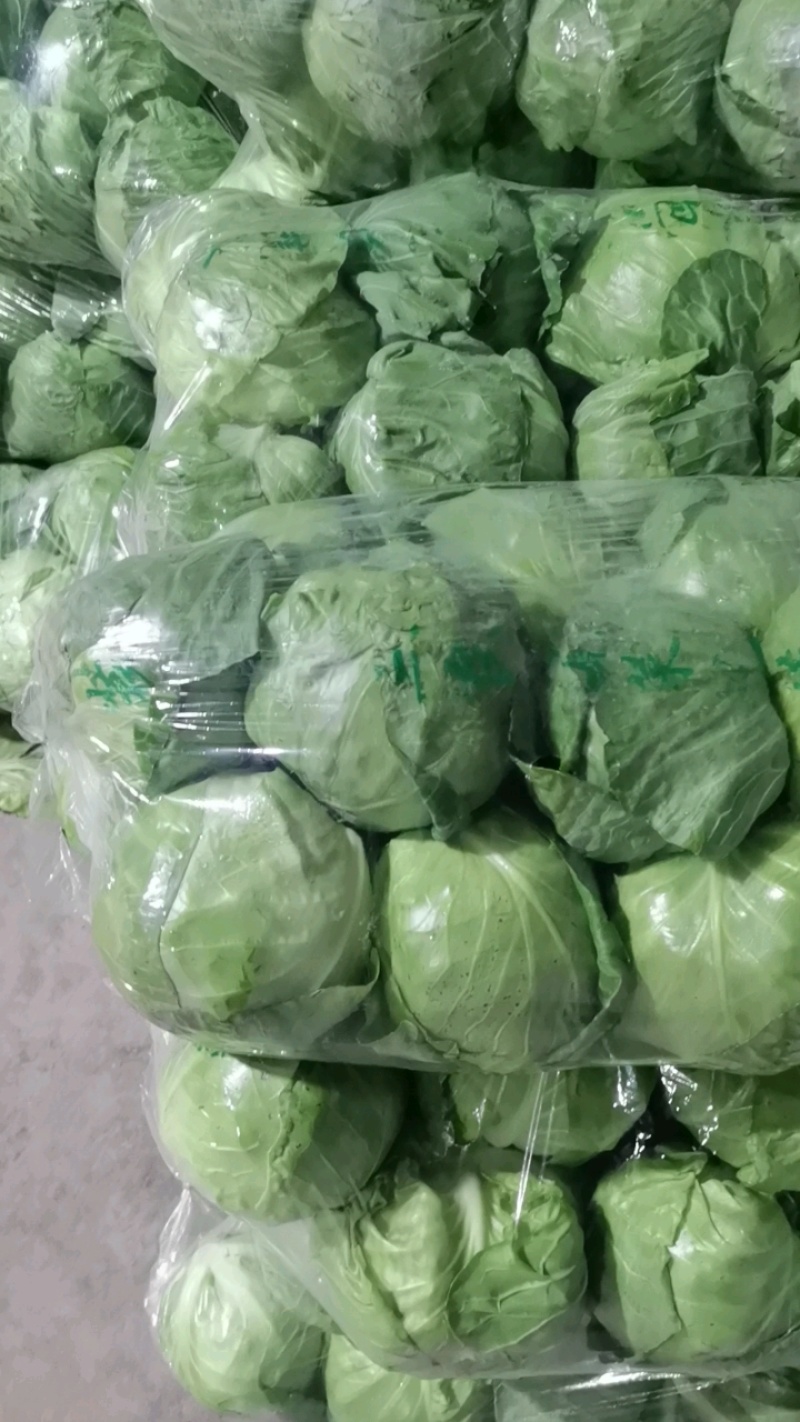 包菜装车，6米8发车中。