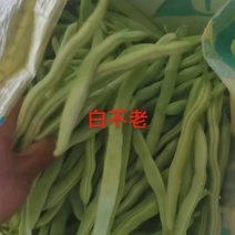 早晨3块5，现在3块，品质好