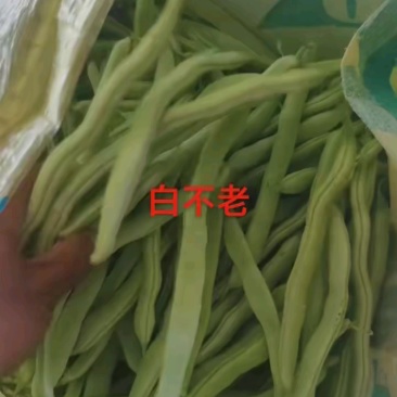 早晨3块5，现在3块，品质好