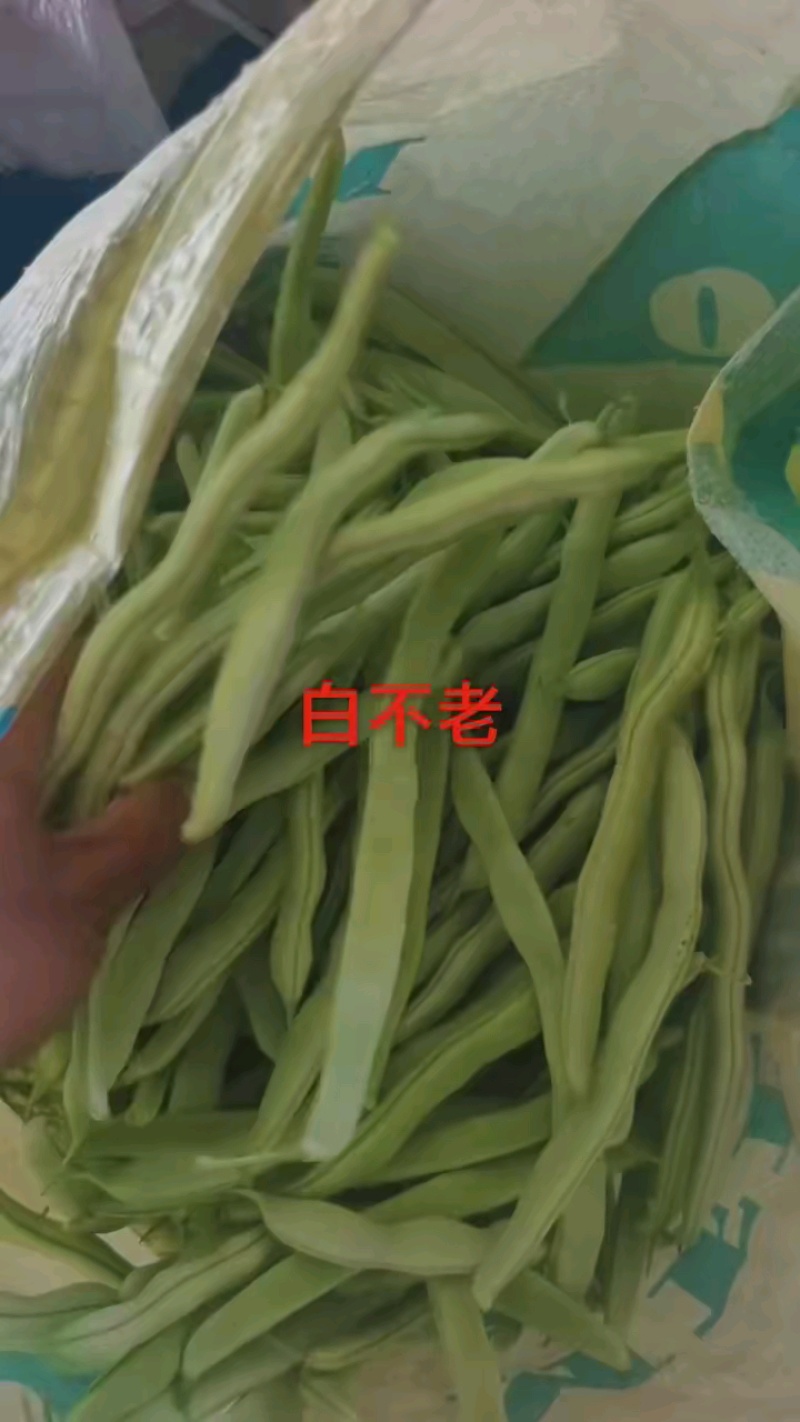 早晨3块5，现在3块，品质好