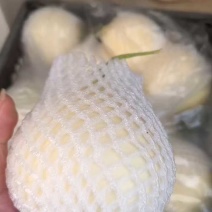 【精选】白莎蜜甜瓜安徽砀山小白瓜脆甜多汁量大优惠