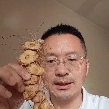 野生黄精多花姜形甜黄精大山深处天然生长野生黄精精选