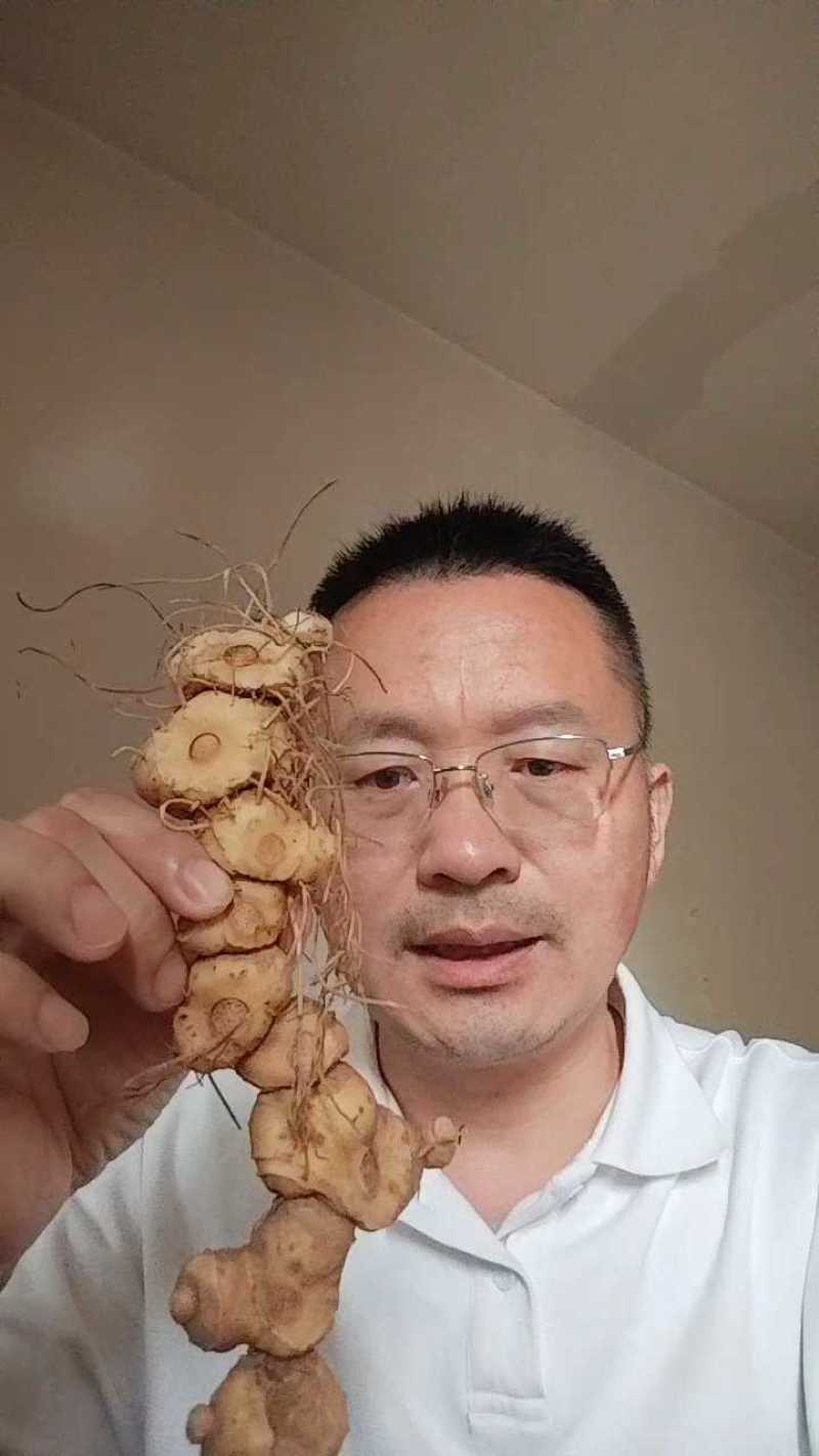 野生黄精多花姜形甜黄精大山深处天然生长野生黄精精选