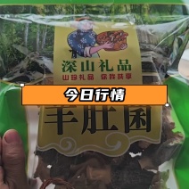 【推荐】羊肚菌干货一手货源基地直发价格优惠