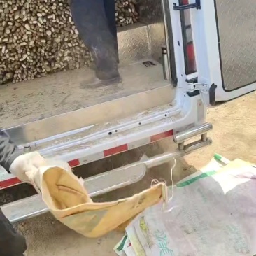 山药打皮用，正在装车，大份优先！