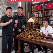 【桑黄块】东北人工种植桑黄块/精选桑黄块/对接全网保真