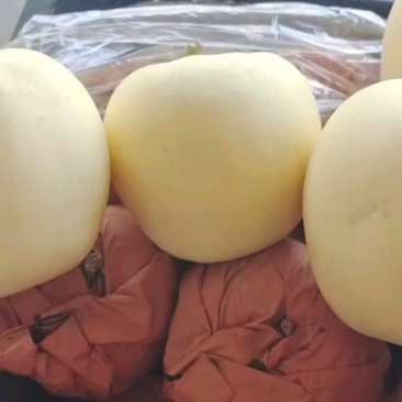 黄元帅苹果，个大干净白，一块四五，大量有货！