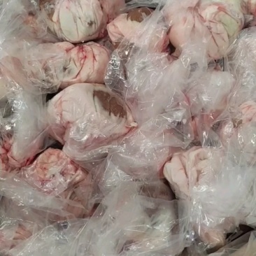 内蒙草地羔羊原油羊腰，包油羊腰，全国冷链发货！