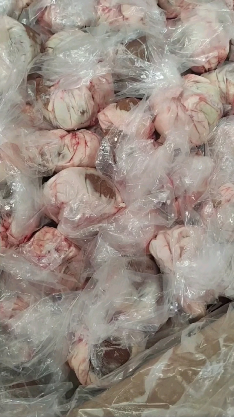 内蒙草地羔羊原油羊腰，包油羊腰，全国冷链发货！