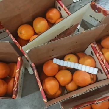 中华红血橙脐橙橙子🍊产地直发量大从优可对接全国