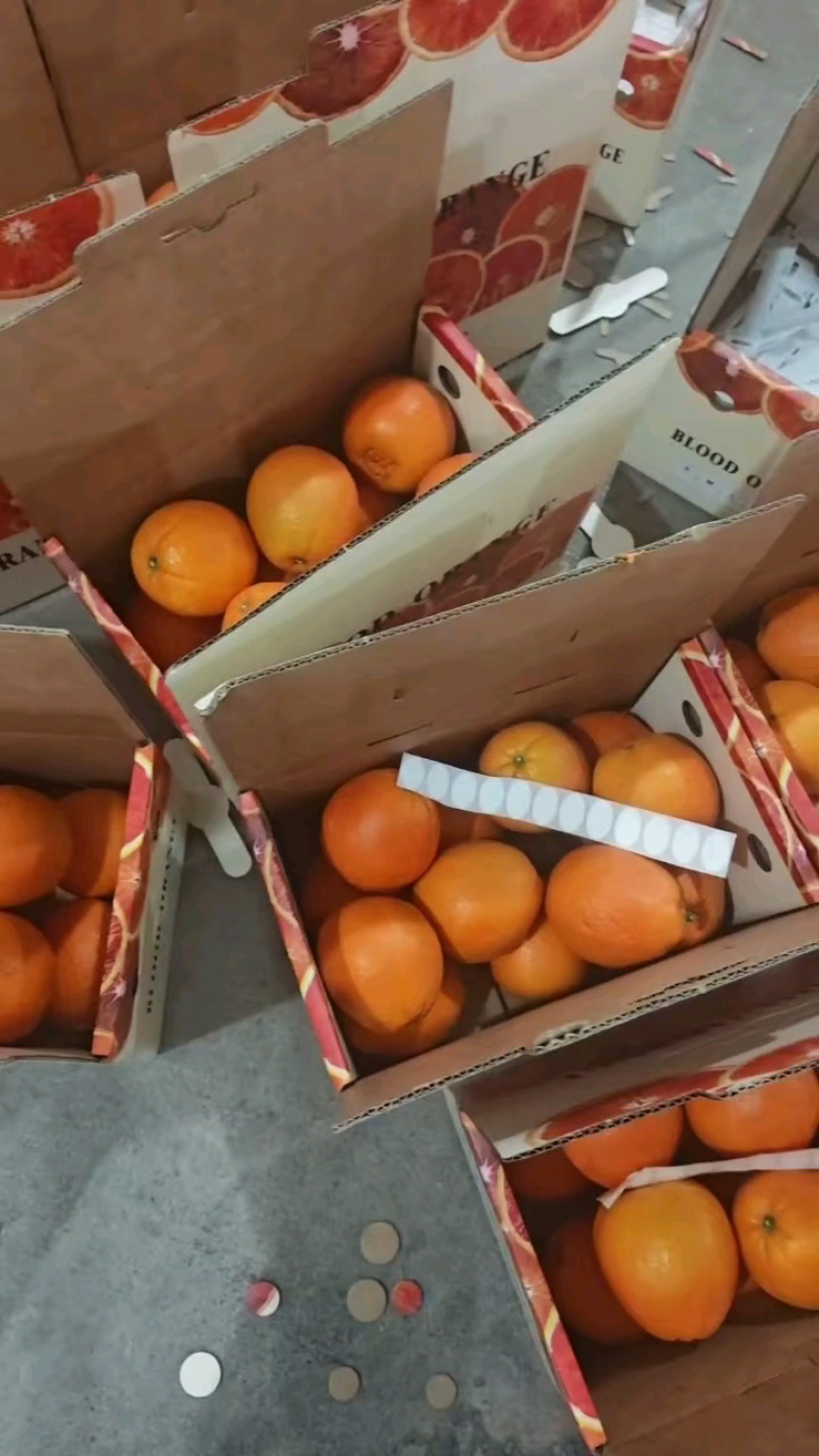 中华红血橙脐橙橙子🍊产地直发量大从优可对接全国