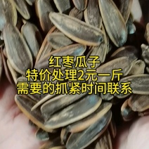 红枣味瓜子特价，2元/斤，颗粒大饱满！