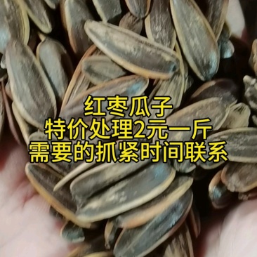 红枣味瓜子特价，2元/斤，颗粒大饱满！