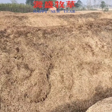 正阳县源盛牧草秸秆