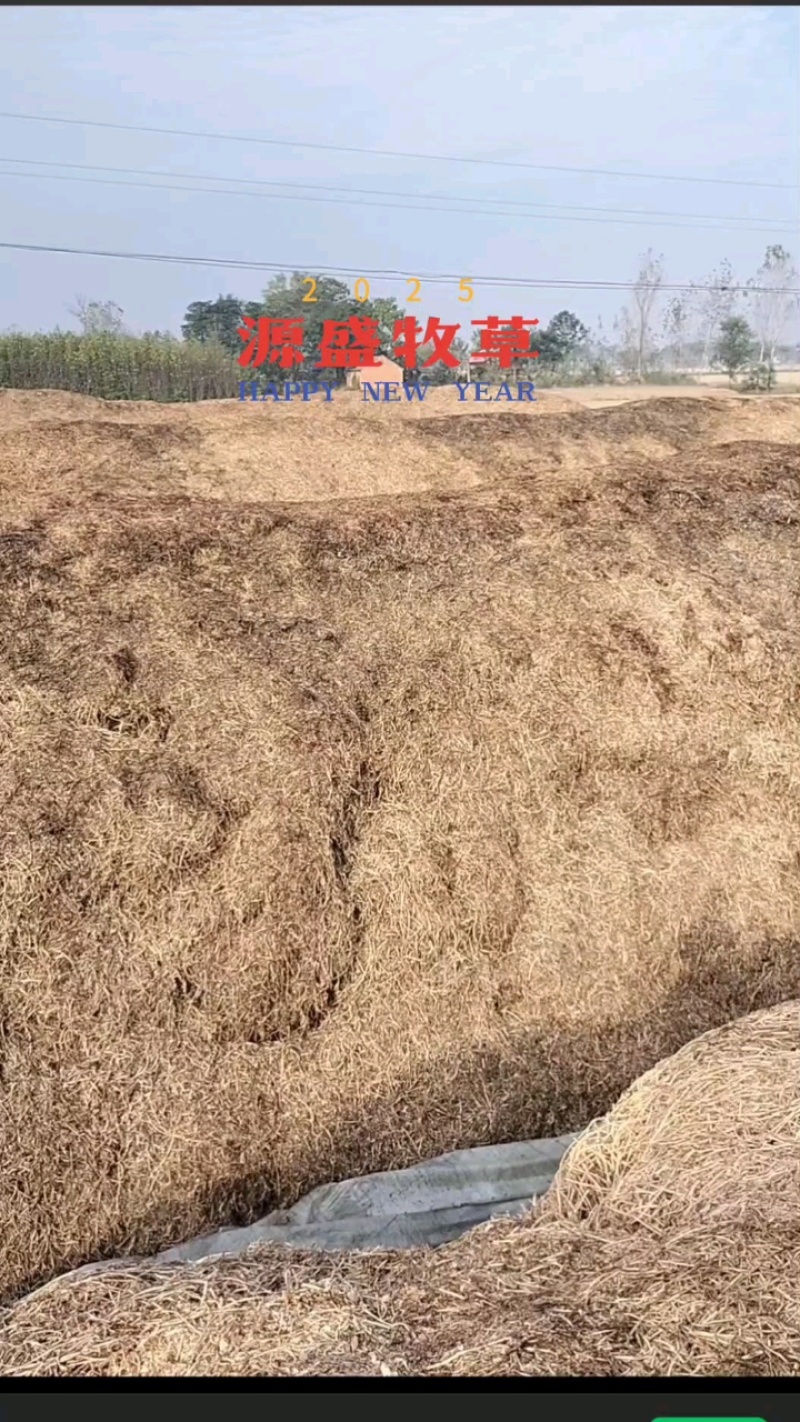 正阳县源盛牧草秸秆