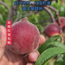 一件代发精品云南早红桃脆甜多汁红宝石蜜桃弥勒产区现摘现发