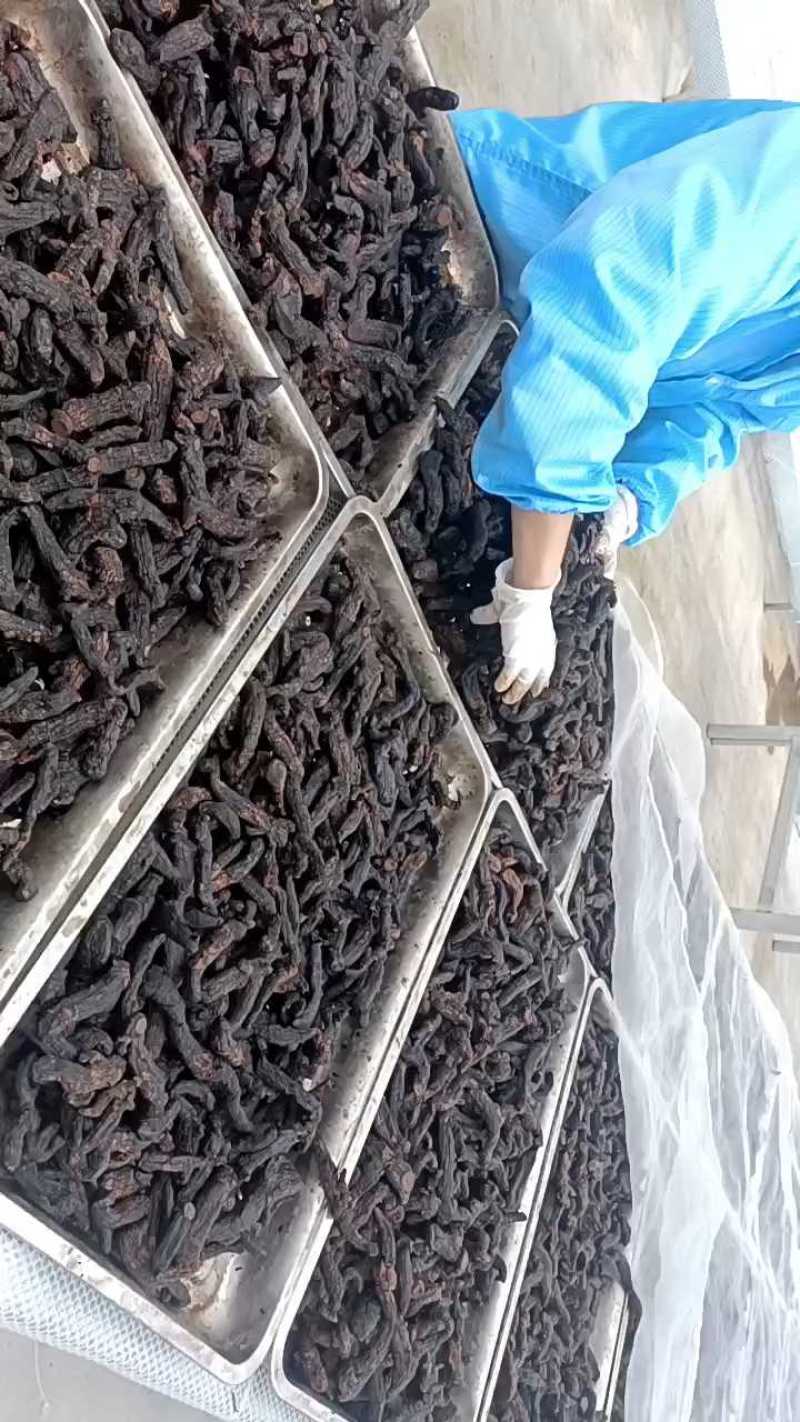 安徽金寨多花黄精九蒸九晒古法制作软糯香甜接代加工