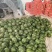 早春红玉小西瓜，手剥小糖丸无籽瓜2K小吊瓜，头茬瓜