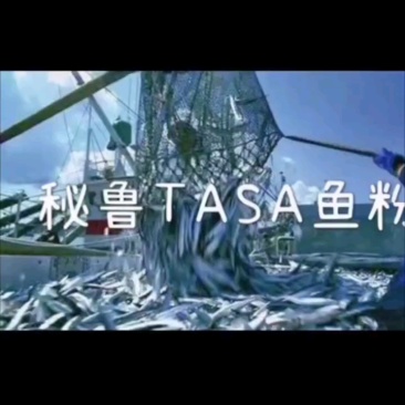 秘鲁进口鱼粉蛋白67新鲜度120