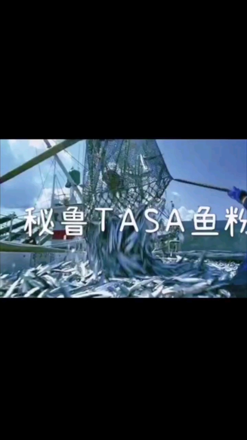 秘鲁进口鱼粉蛋白67新鲜度120