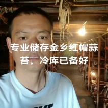 冷库出租，专业储存蒜苔，代发国内市场，保证质量