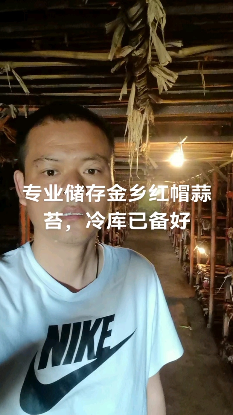 冷库出租，专业储存蒜苔，代发国内市场，保证质量