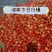 油桃中油4号5号十六十八十九产地直供可供应各种渠道