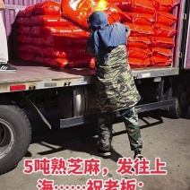 5吨熟芝麻发往上海，货量充足！