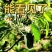 烟台栖霞苹果，产地直供，欢迎客商看货