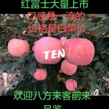 中条山高原冰糖心红富士脆甜爽口，欢迎八方来客前来品鉴