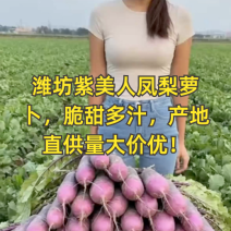 冰激凌萝卜、糖心水果萝卜、凤梨萝卜地头装车产地直供