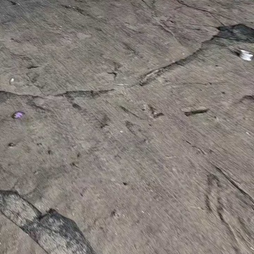 【有好货】产地暖棚螺丝椒，大量供应，好货