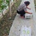 河北衡水饶阳县葡萄